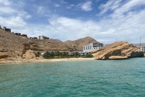 مسقط: جولة بالقارب لمشاهدة الدلافين