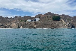 مسقط: جولة بالقارب لمشاهدة الدلافين