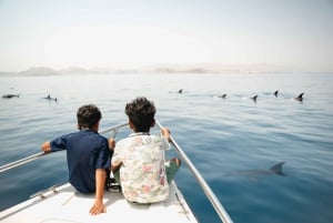 Muscat: Dolphin Watching, Fishing, and Snorkeling Boat Tour