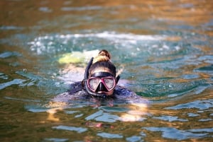 Delfinobservasjon, snorkling og kajakkpadling i Muscat