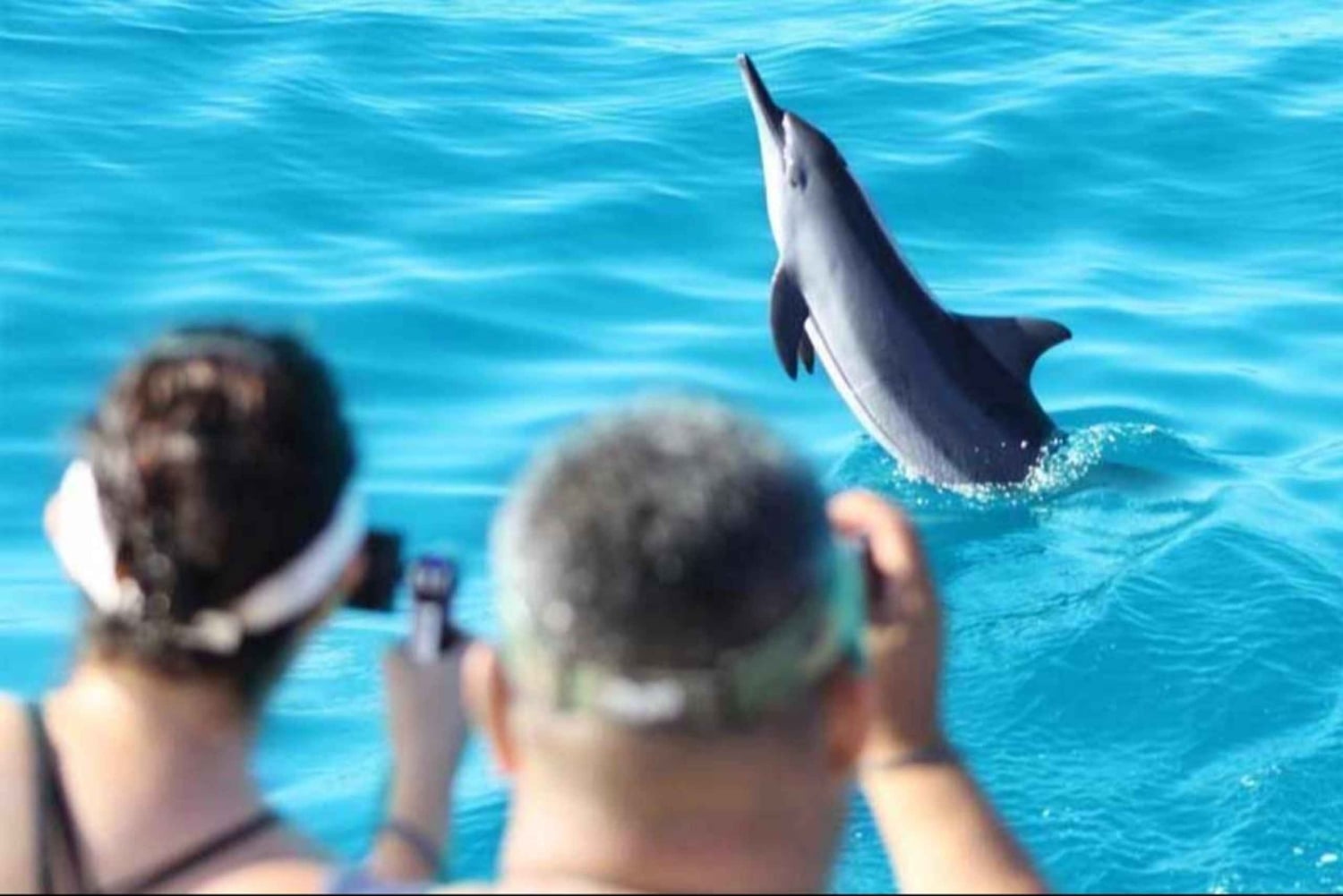 Muscat: dolfijnen spotten en jetski-avontuur