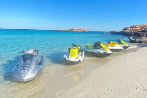 Muscat: dolfijnen spotten en jetski-avontuur