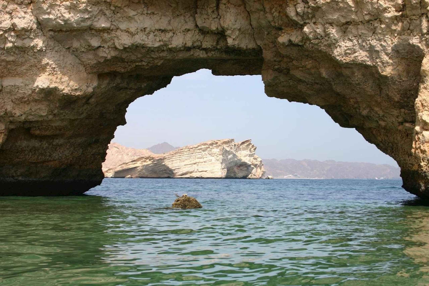 Muscat: Dolphin, Whale Watch & Snorkeling Experience