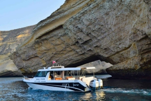 Muscat: Dolphins & Whale Watching Tours