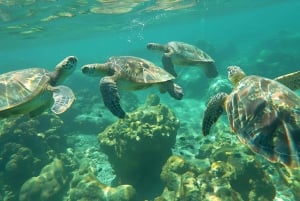 مسقط - استمتع بمغامرة غوص لا تُنسى على متن دبابتين