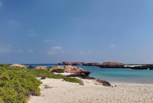 مسقط - استمتع بمغامرة غوص لا تُنسى على متن دبابتين