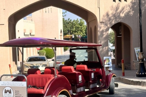 Muscat: Udforsk Nizwa Fort og Souq Jebel Akhdar