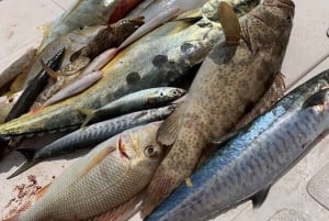 مسقط: رحلة صيد بالمعدات