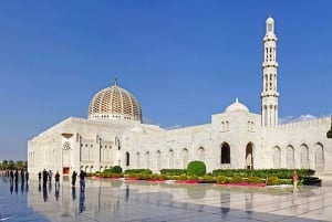 Muscat: Full-Day City Tour with Sunset Cruise