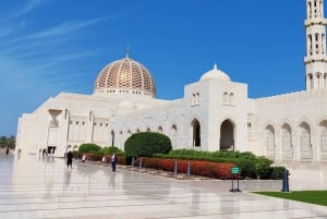 Muscat: dagvullende privérondleiding met gids in een luxe auto door de stad