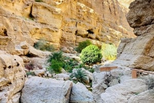 Muscat: Full-Day Wadi Shab & Bimmah Sinkhole + free lunch