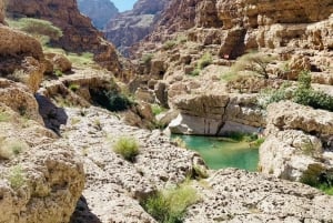 Muscat: Full-Day Wadi Shab & Bimmah Sinkhole + free lunch