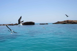 Mascate: snorkel en Daymaniat con aperitivos