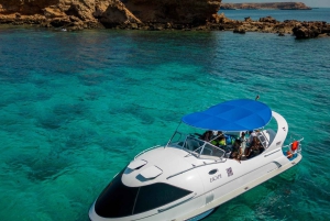 Mascate: snorkel en Daymaniat con aperitivos