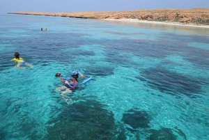 Mascate: snorkel en Daymaniat con aperitivos