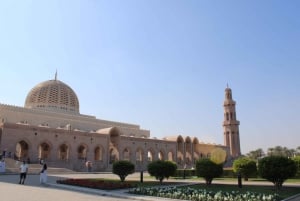 Muscat: Halvdagstur til den store moské, souken og operahuset