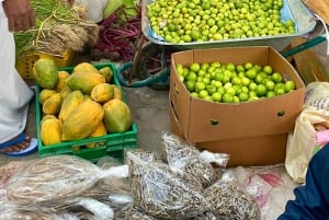 Muscat: Heldagstur i grupp till Nizwa Souk, Fort & Birkat Al Mouz + lunch