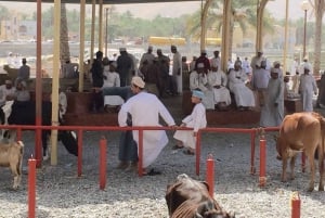 Muscat: Heldagstur i grupp till Nizwa Souk, Fort & Birkat Al Mouz + lunch
