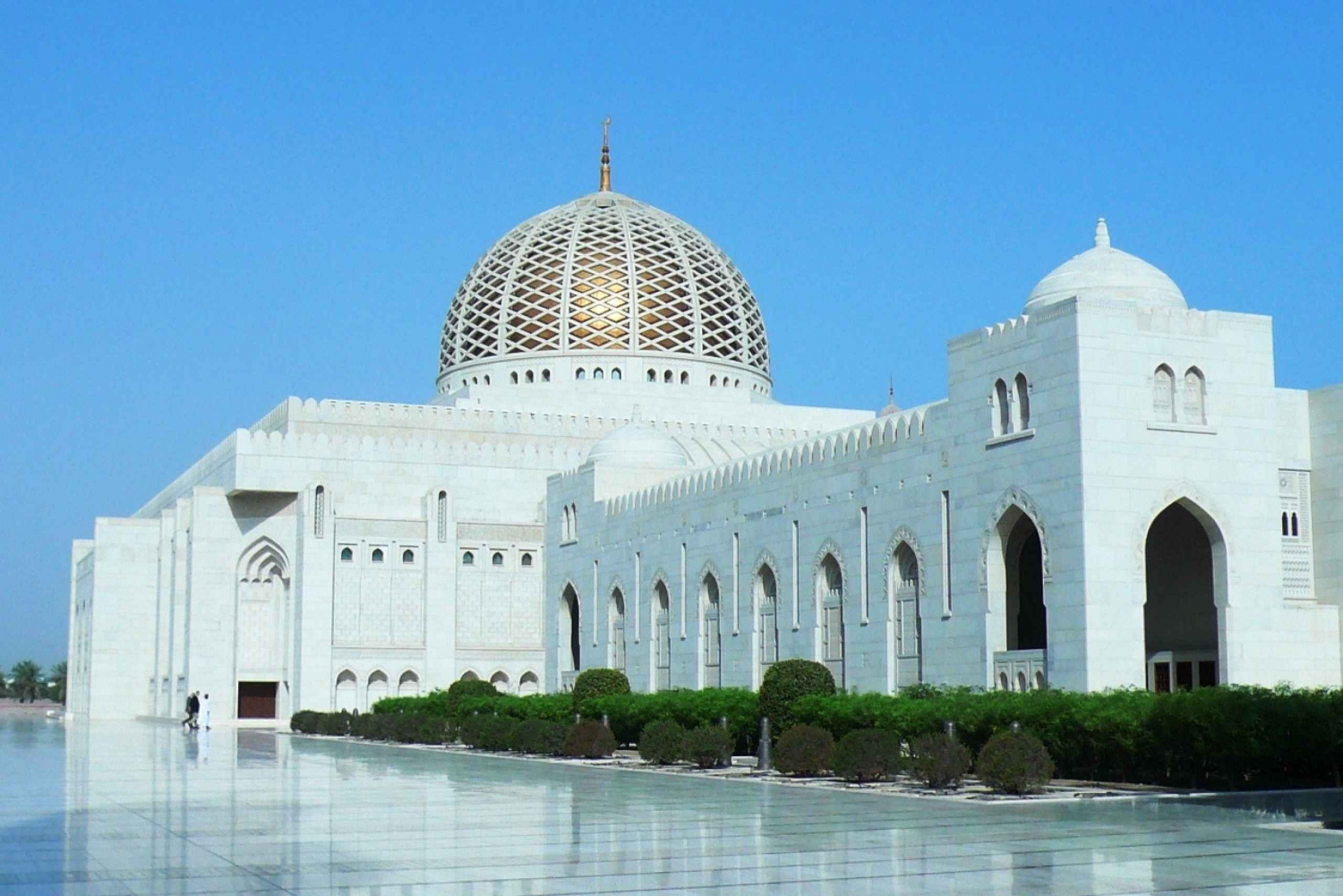 Muscat: Half-Day City Sightseeing Tour & Grand Mosque Visit