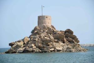 Muscat: Halvdags guidet by- og Oman-kysttur