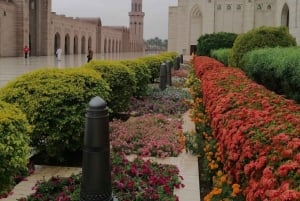 Muscat : Puolipäiväinen opastettu kaupunkikierros, jossa on nouto ja kyydinotto