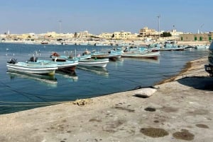 Visite d'une demi-journée à Mascate : mosquée, palais et souk (petit groupe)