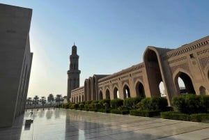 Visite d'une demi-journée à Mascate : mosquée, palais et souk (petit groupe)