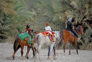 Muscat: Horse Riding Experience with Traditional Dinner