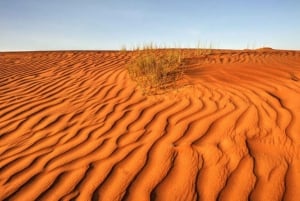 Muscat: Ibra and Wahiba Sands Sunset 4x4 Tour with Dinner