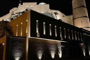 Muscat: Mosque, Opera, and Old Muscat Eco EV Evening Tour