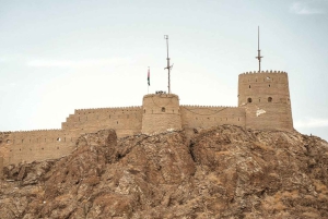 Muscat: Muttrah Fort entrébillet