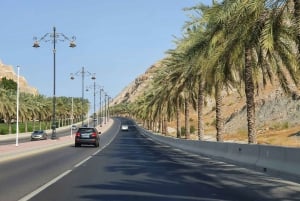 Muscat: Night Tour [ Sightseeing ]