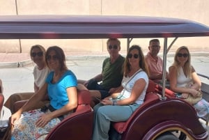 Muscat: Night Tour [ Sightseeing ]