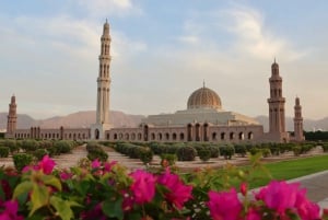 Muscat: Night Tour with Royal Opera House