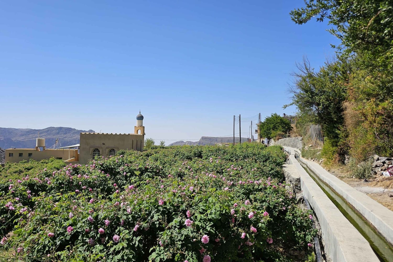 Mascate: Nizwa y Al Jabal Al Akhdar Tour privado con almuerzo