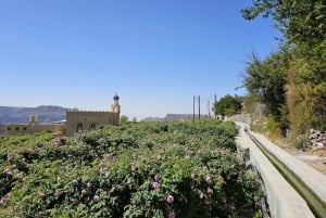 Mascate: Nizwa y Al Jabal Al Akhdar Tour privado con almuerzo