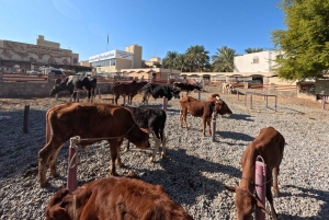 Muscat: Nizwa and Jabal Akhdar Day Trip With Lunch & Sunset