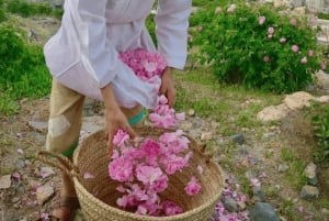 مسقط: نزوى والجبل الأخضر- جولة ليوم كامل