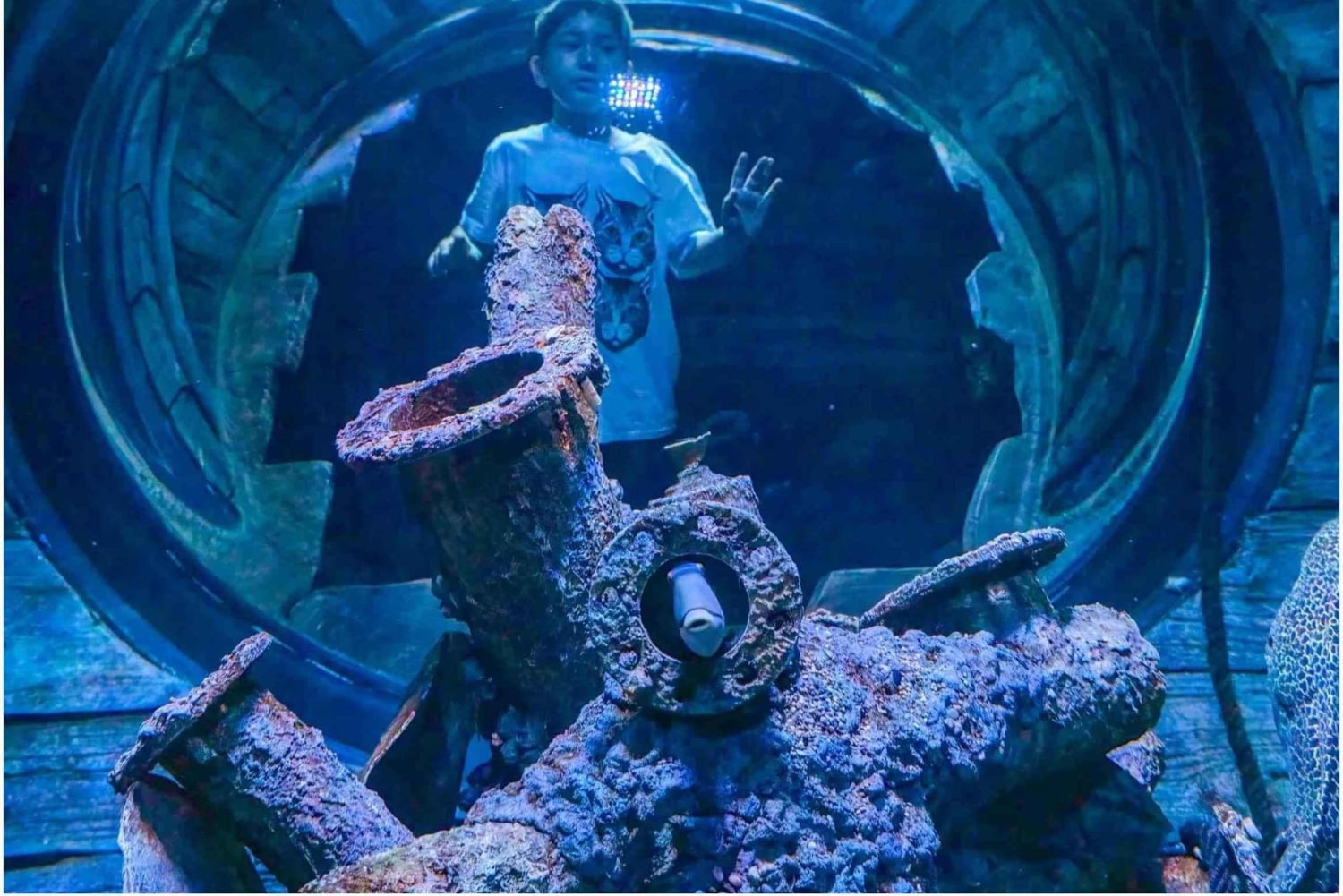 Muscat : billet d'entrée à l'aquarium d'Oman