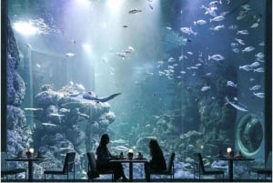 Muscat : billet d'entrée à l'aquarium d'Oman