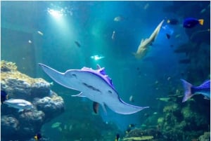 Muscat : billet d'entrée à l'aquarium d'Oman