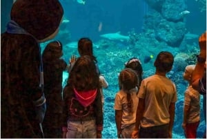 Muscat : billet d'entrée à l'aquarium d'Oman