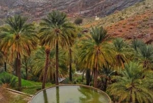 Muscat Oman Grand Canyon, Jebel Shams & Nizwa