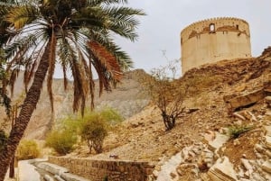 Muscat Oman Grand Canyon, Jebel Shams & Nizwa