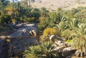 Muscat Oman Grand Canyon, Jebel Shams & Nizwa