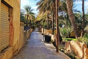 Muscat Oman Grand Canyon, Jebel Shams & Nizwa