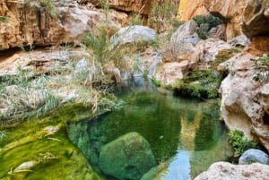 Muscat Oman Grand Canyon, Jebel Shams & Nizwa