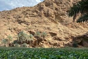 Muscat Oman Grand Canyon, Jebel Shams & Nizwa