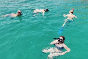 Mascate: crucero en dhow omaní y tour de esnórquel