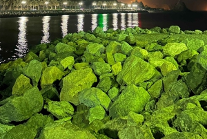 مسقط: جولة خاصة في مدينة مسقط مع امرأة محلية